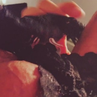 Извращенец трахает игрушечную бабу в жопу